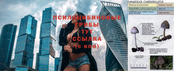 дживик Балахна