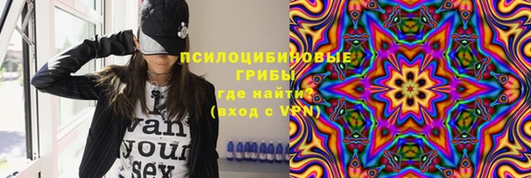 мяу мяу мука Баксан