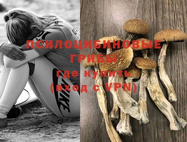 дживик Балахна